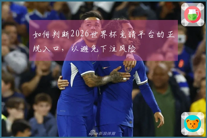 如何判断2026世界杯竞猜平台的正规入口，以避免下注风险