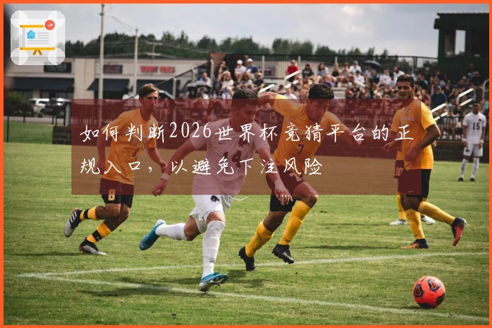 如何判断2026世界杯竞猜平台的正规入口，以避免下注风险