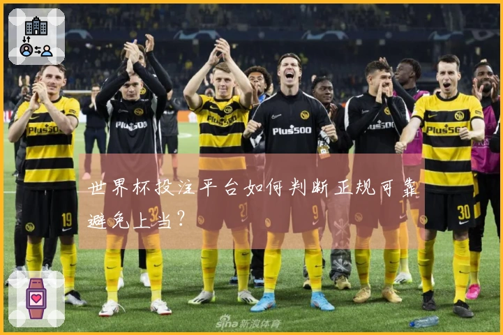 世界杯投注平台如何判断正规可靠避免上当？